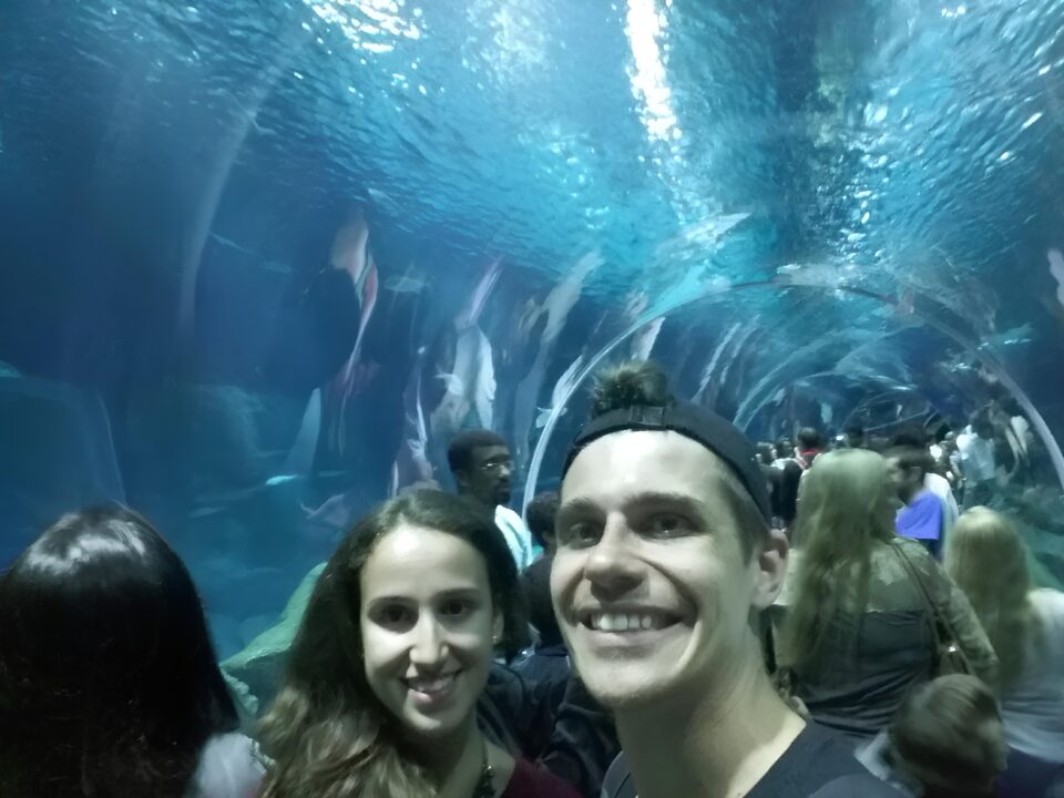Tanque oceânico no AquaRio